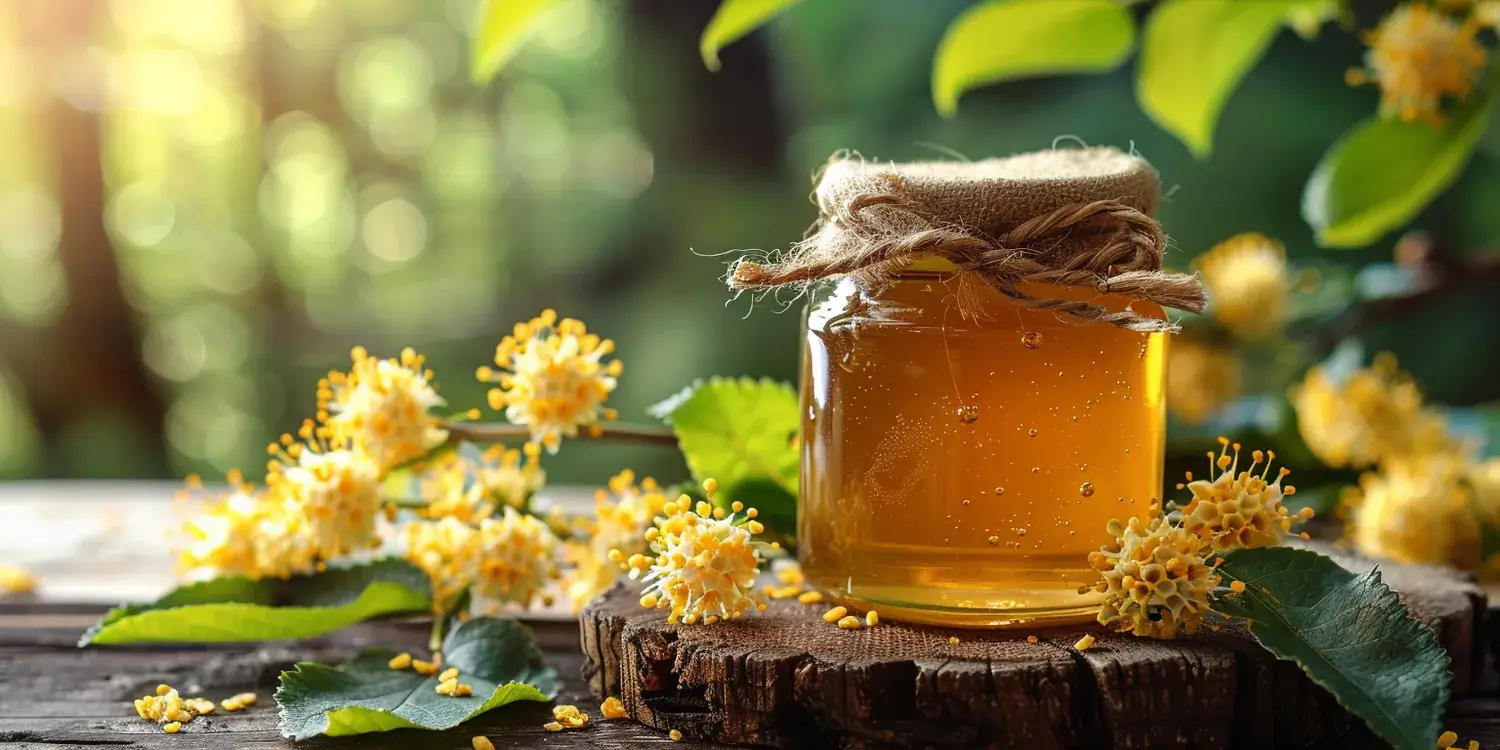 Jak spożywać miód nawłociowy?